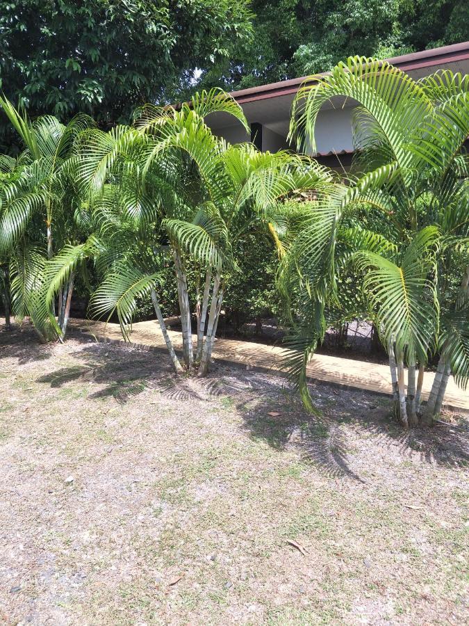 Airee Mini House Hostel หาดบางเทา ภายนอก รูปภาพ